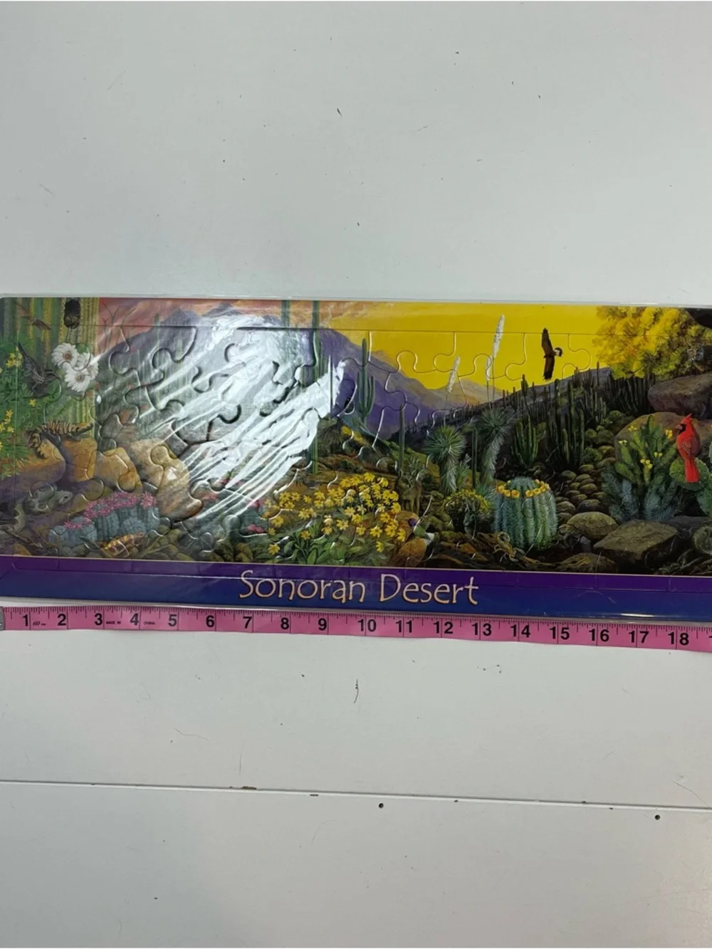 NEW Sonoran Desert Jigsaw Panoramic Puzzle 20x8” Made In Korea